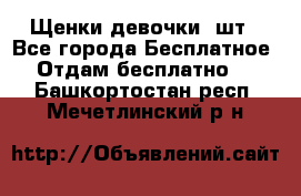 Щенки девочки 4шт - Все города Бесплатное » Отдам бесплатно   . Башкортостан респ.,Мечетлинский р-н